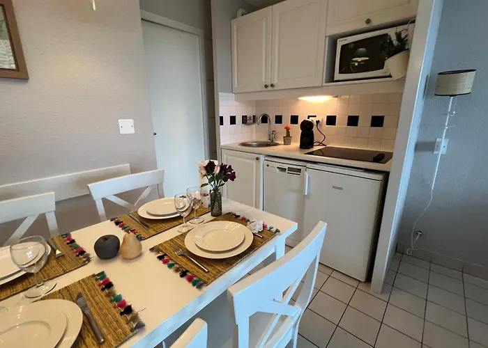 Fleurs Du 2 Adultes Et 2 Enfants Avec Terrasse Vue Sur Le Et Acces Parc Aquatique Gratuit